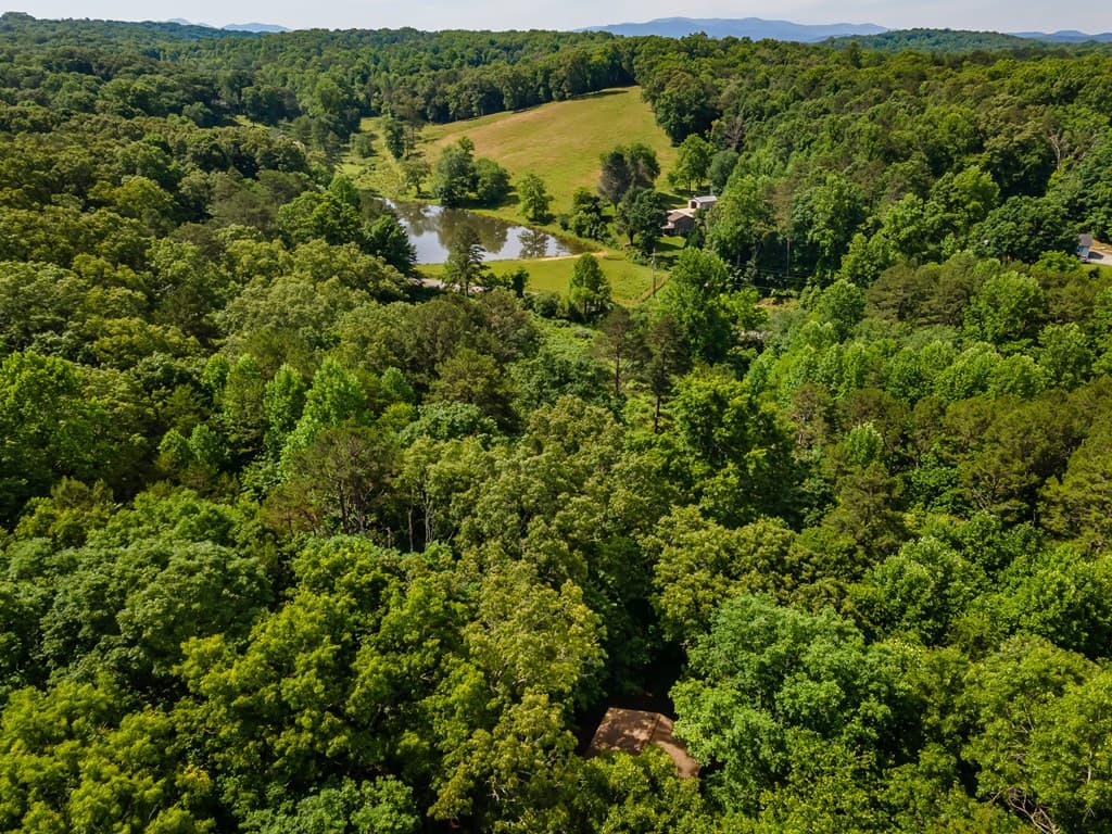 162 Little Falls Drive, Mineral Bluff GA 30559 - Photo