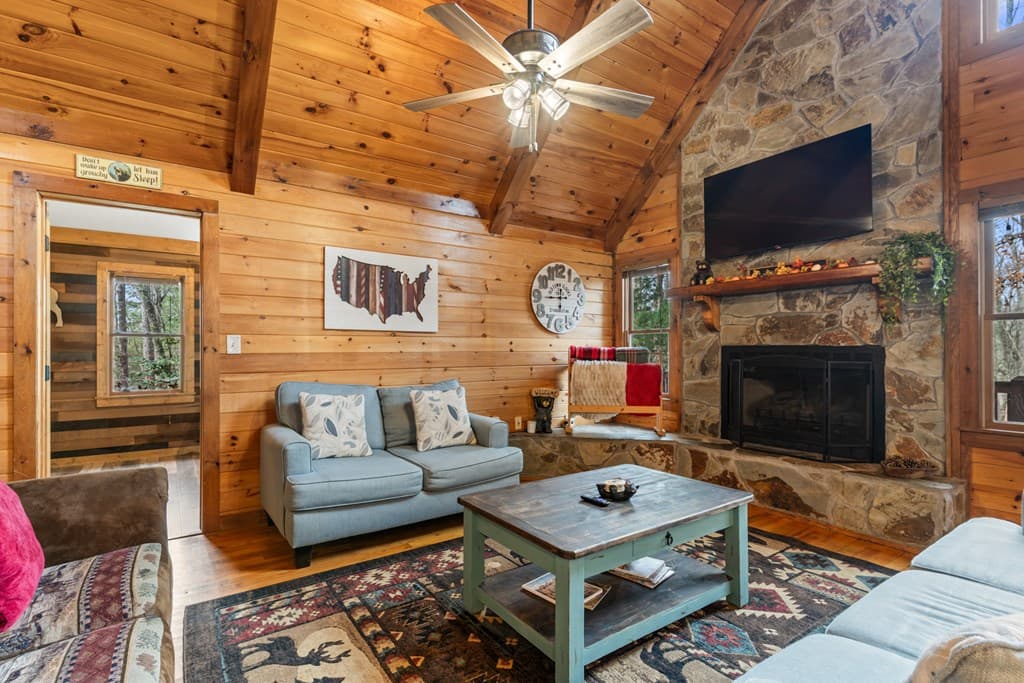 162 Little Falls Drive, Mineral Bluff GA 30559 - Photo