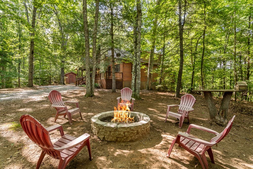 162 Little Falls Drive, Mineral Bluff GA 30559 - Photo