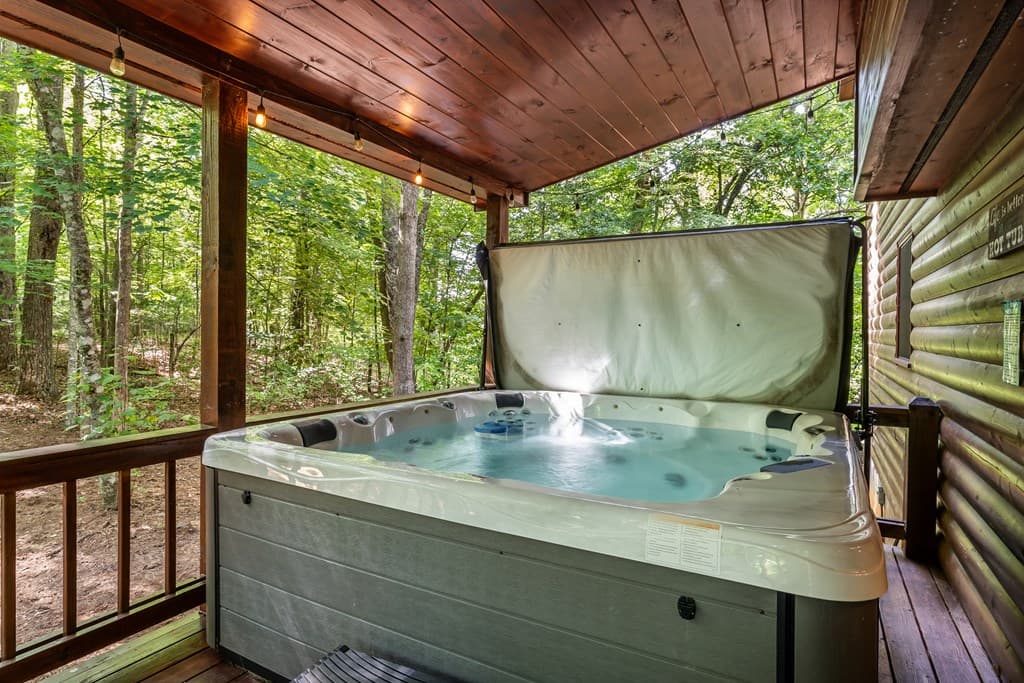 162 Little Falls Drive, Mineral Bluff GA 30559 - Photo