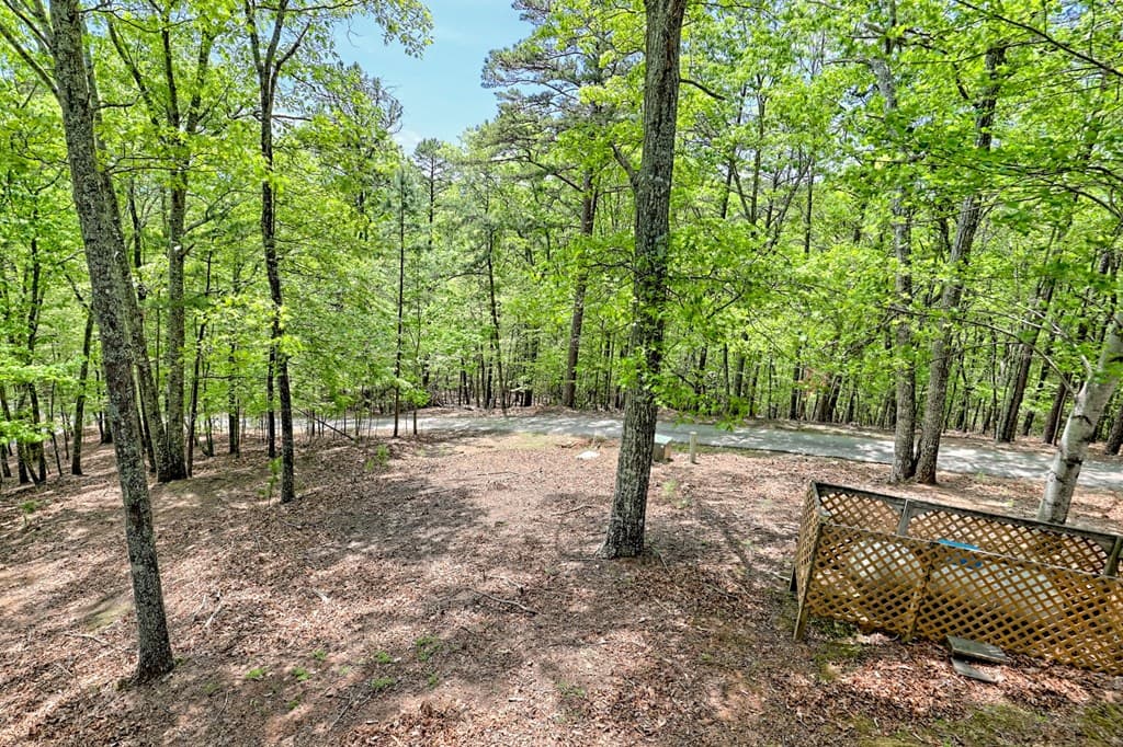 116 Wildwood Road, Young Harris GA 30582 - Photo