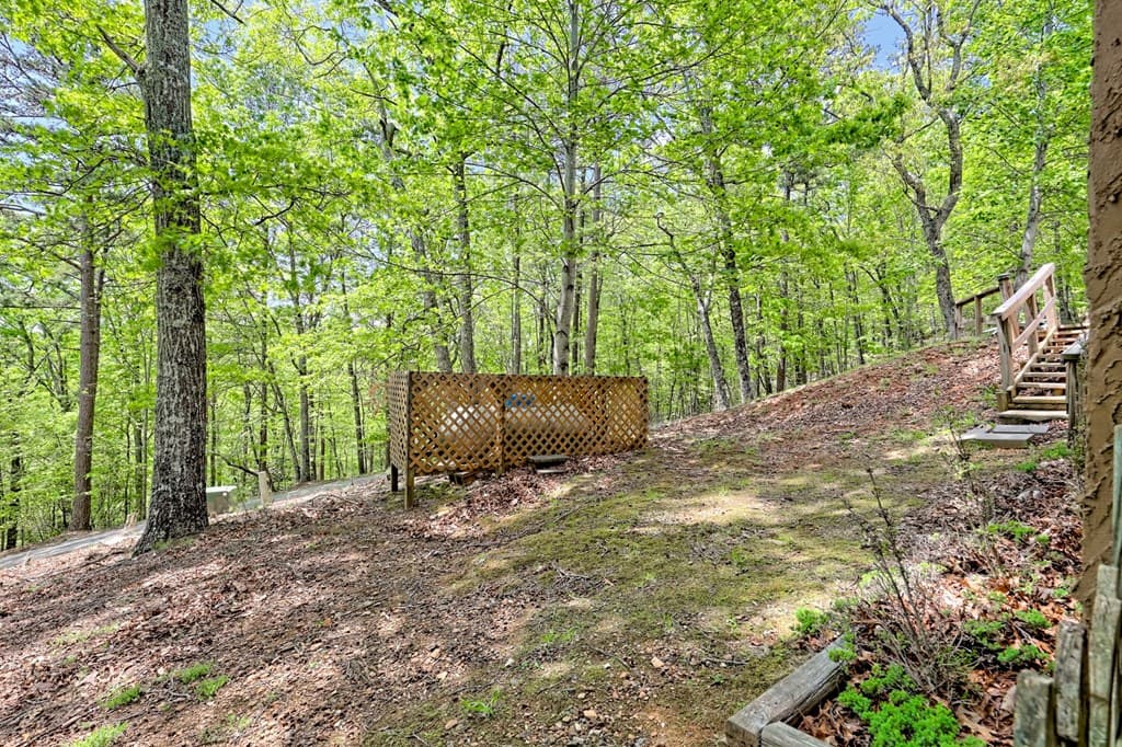 116 Wildwood Road, Young Harris GA 30582 - Photo