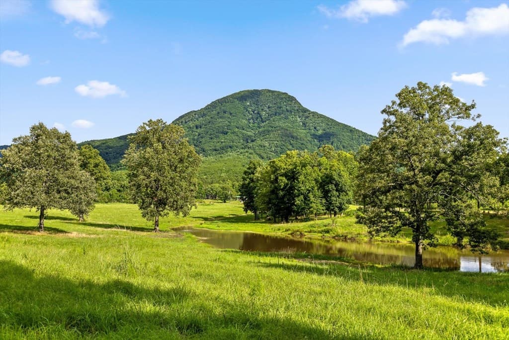 0 Tom Terry Road, Chatsworth GA 30705 - Photo