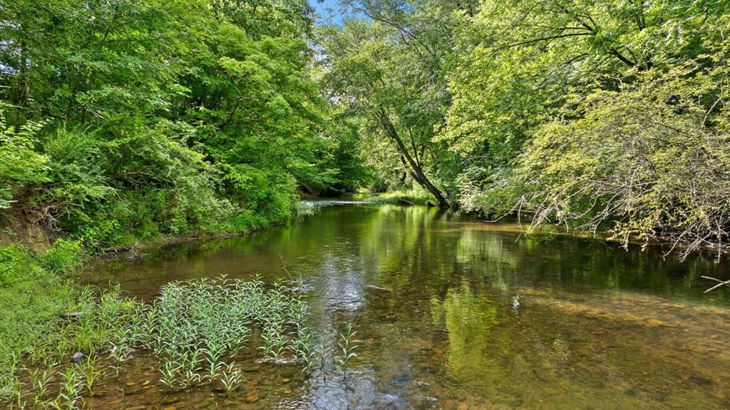 0 Tom Terry Road, Chatsworth GA 30705 - Photo