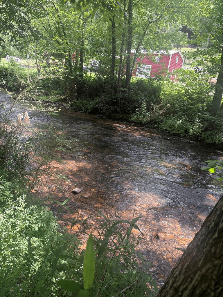 lot 6 Creekfront Lane, Hayesville NC 28904 - Photo