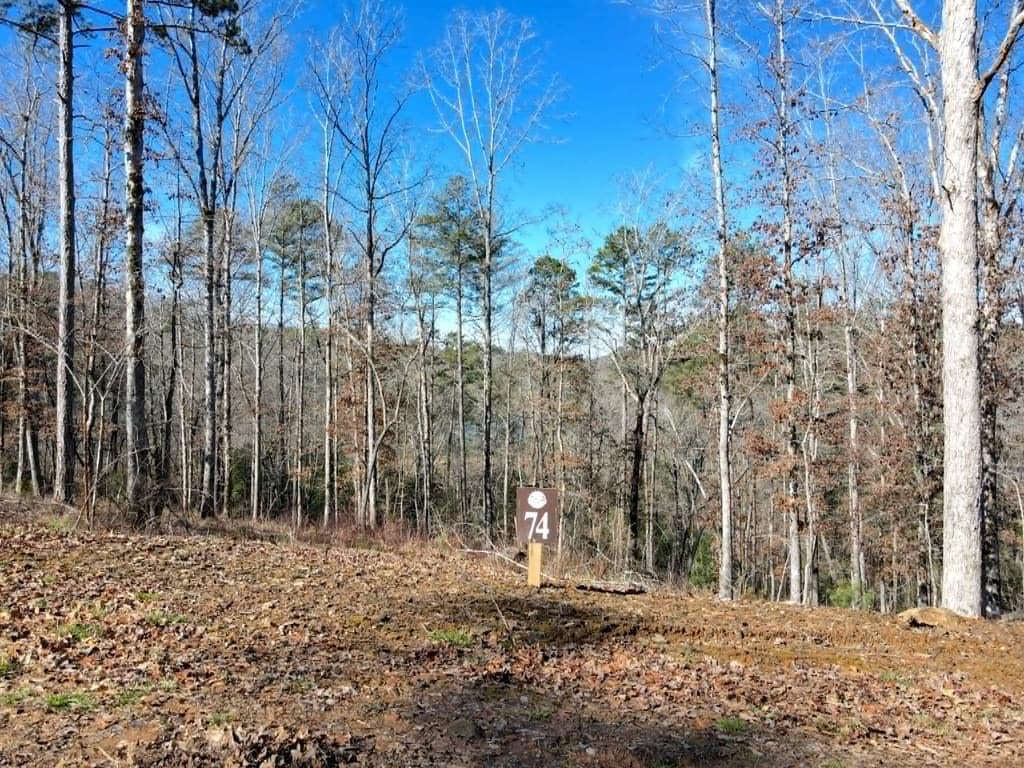 Lot 74 Hope Court, Ellijay GA 30540 - Photo