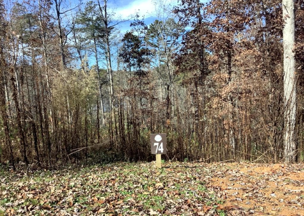 Lot 74 Hope Court, Ellijay GA 30540 - Photo