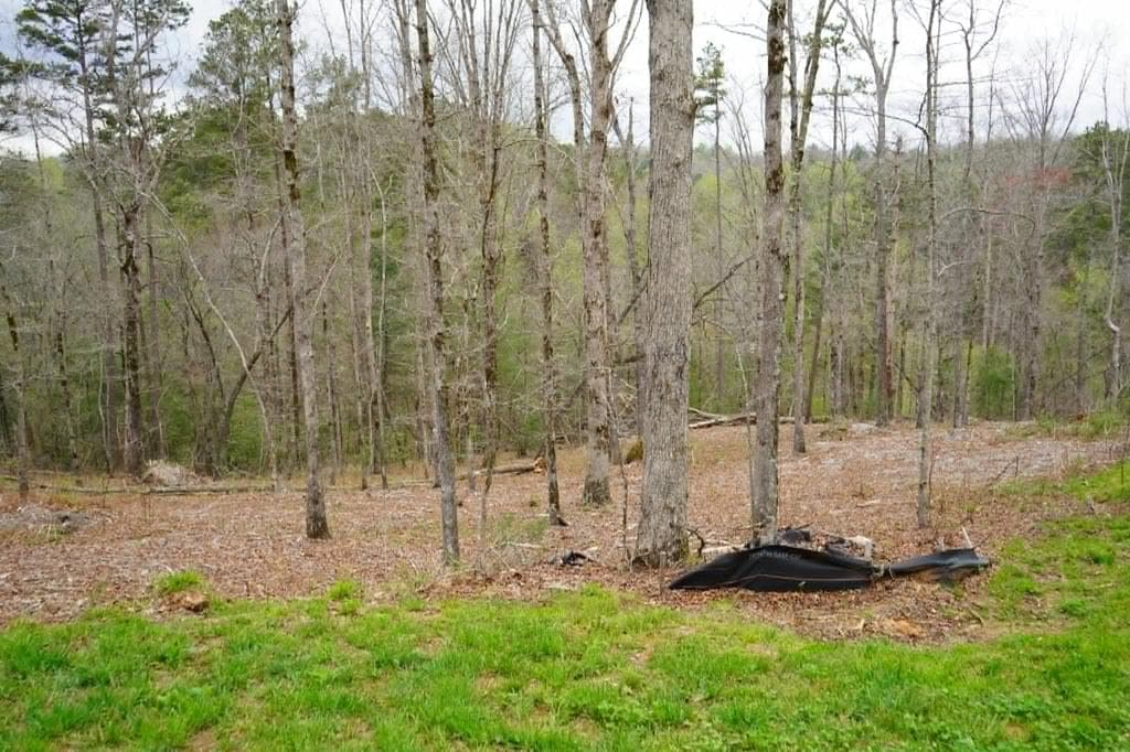 Lot 74 Hope Court, Ellijay GA 30540 - Primary photo