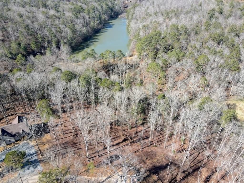 Lot 74 Hope Court, Ellijay GA 30540 - Photo