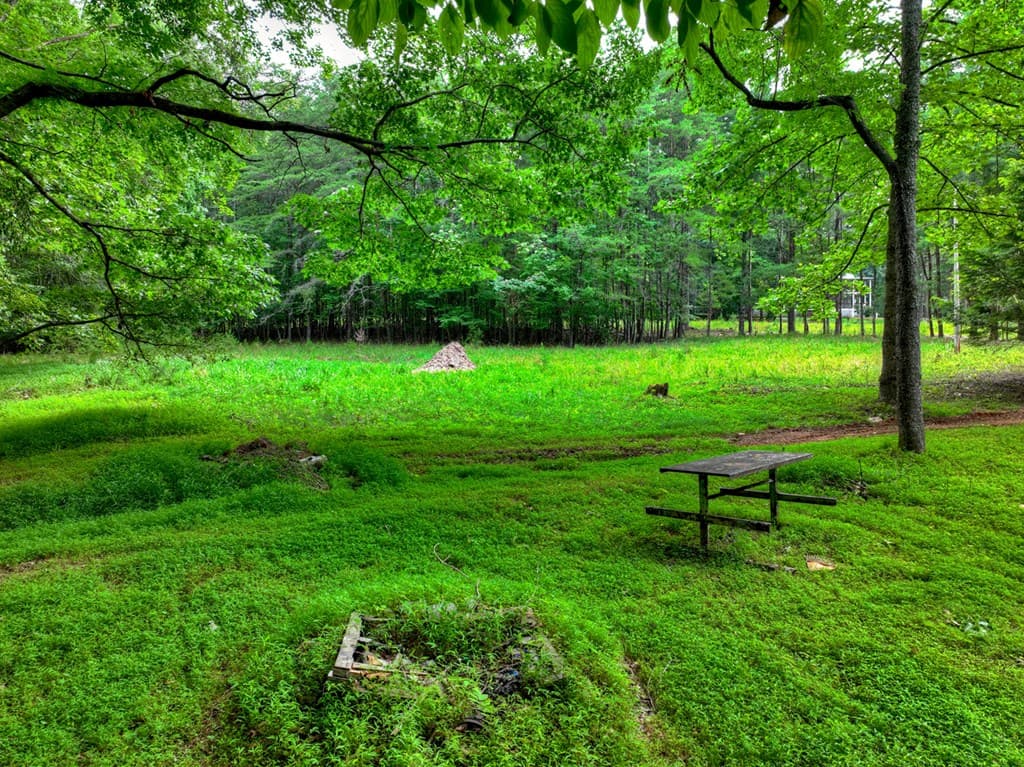 232 Chestnut Gap, Blue Ridge GA 30313 - Photo