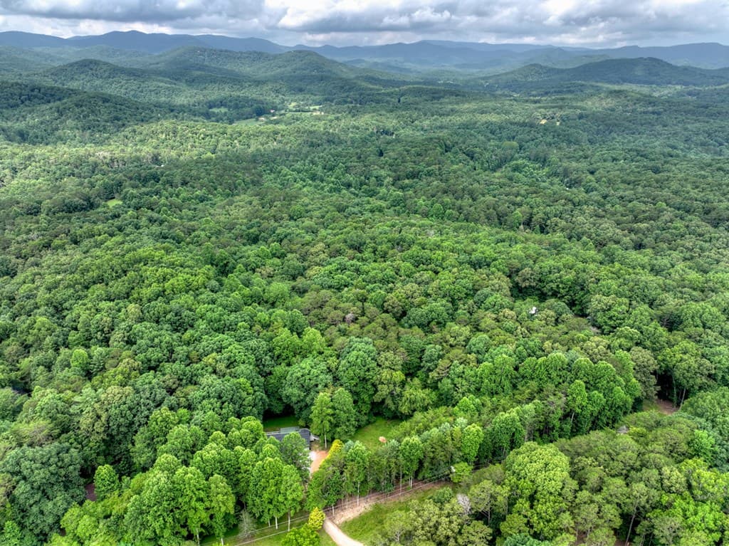 232 Chestnut Gap, Blue Ridge GA 30313 - Photo