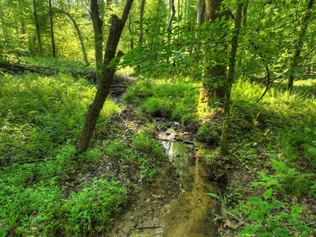 279 Shallow Water Trail, Talking Rock GA 30175 - Photo