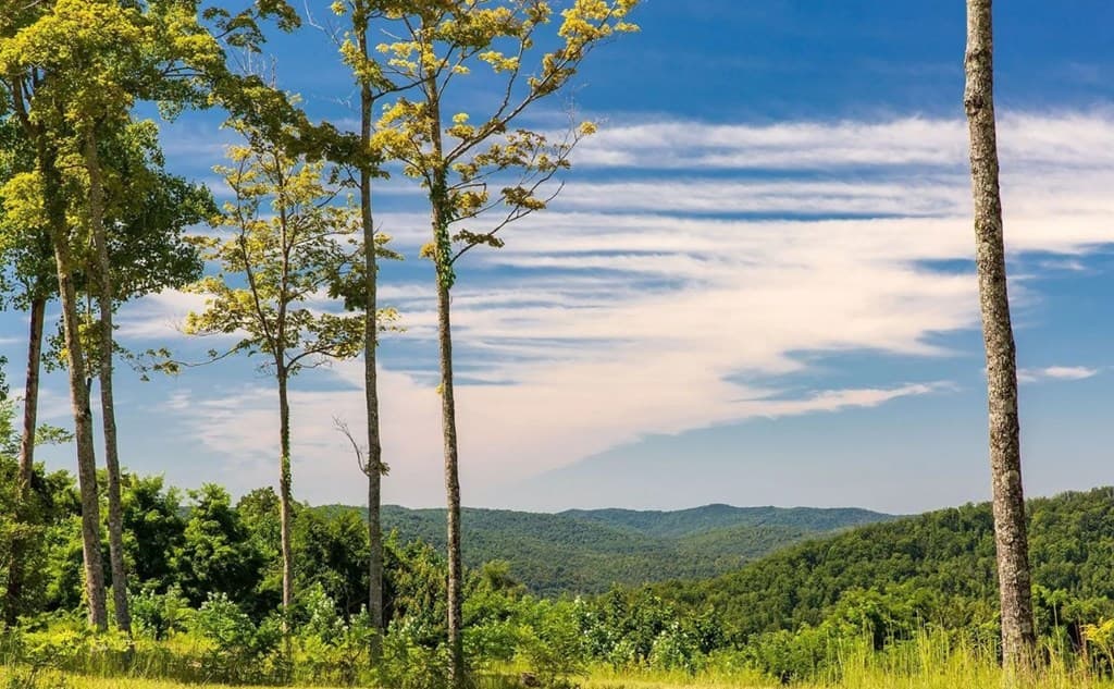 279 Shallow Water Trail, Talking Rock GA 30175 - Photo