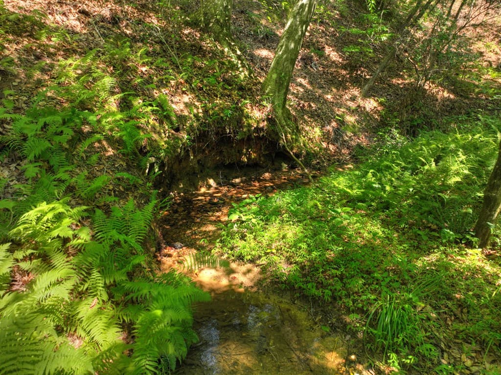 279 Shallow Water Trail, Talking Rock GA 30175 - Photo