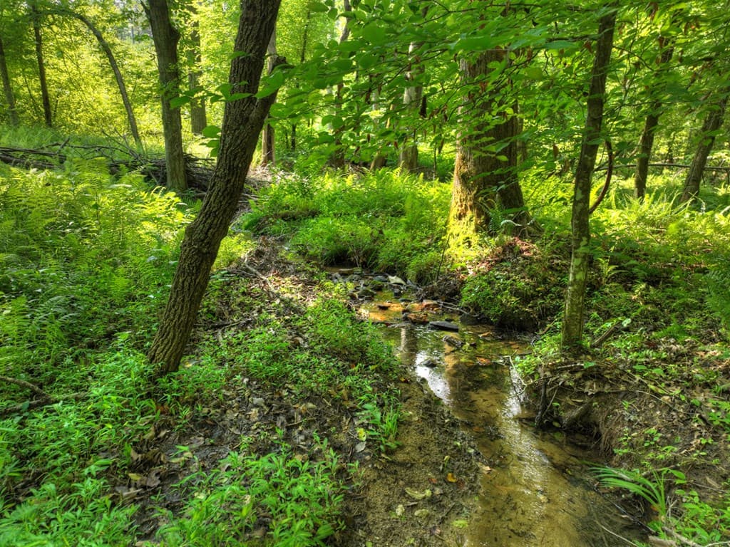 279 Shallow Water Trail, Talking Rock GA 30175 - Photo
