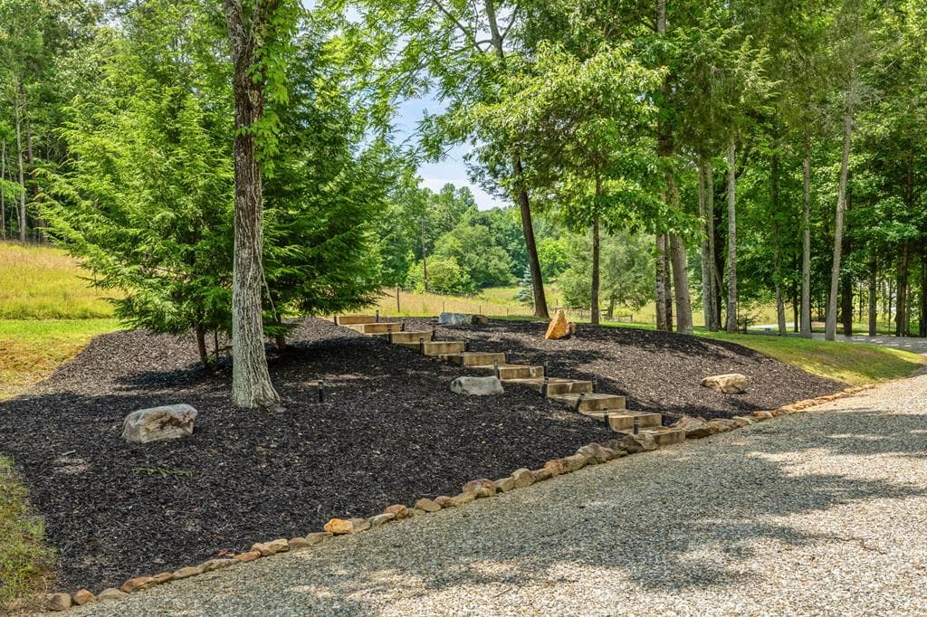 227 Dills Road, Blue Ridge GA 30513 - Photo