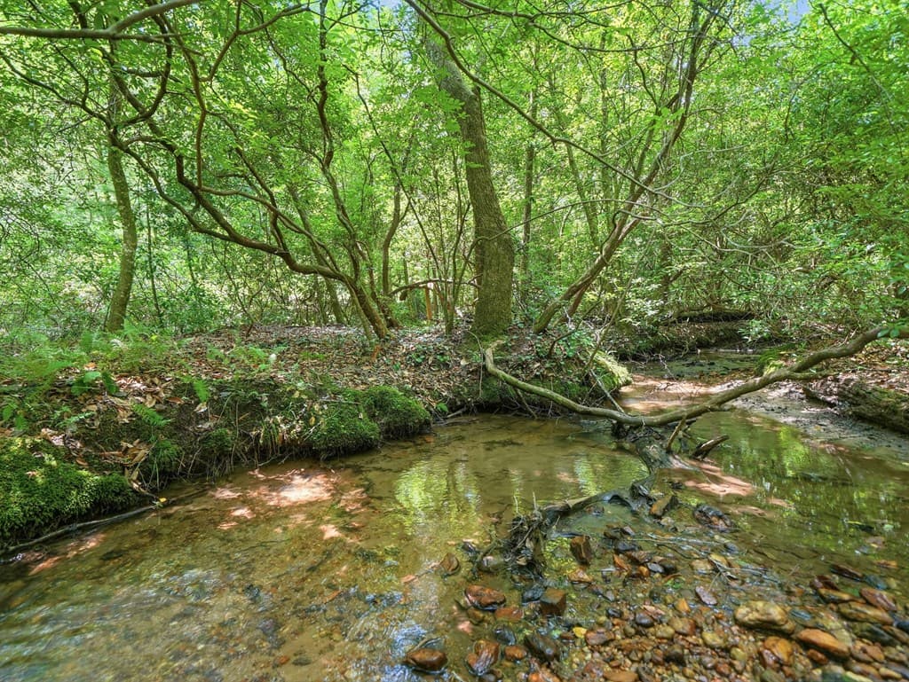 167 Mangums Trl, Blue Ridge GA 30513 - Photo