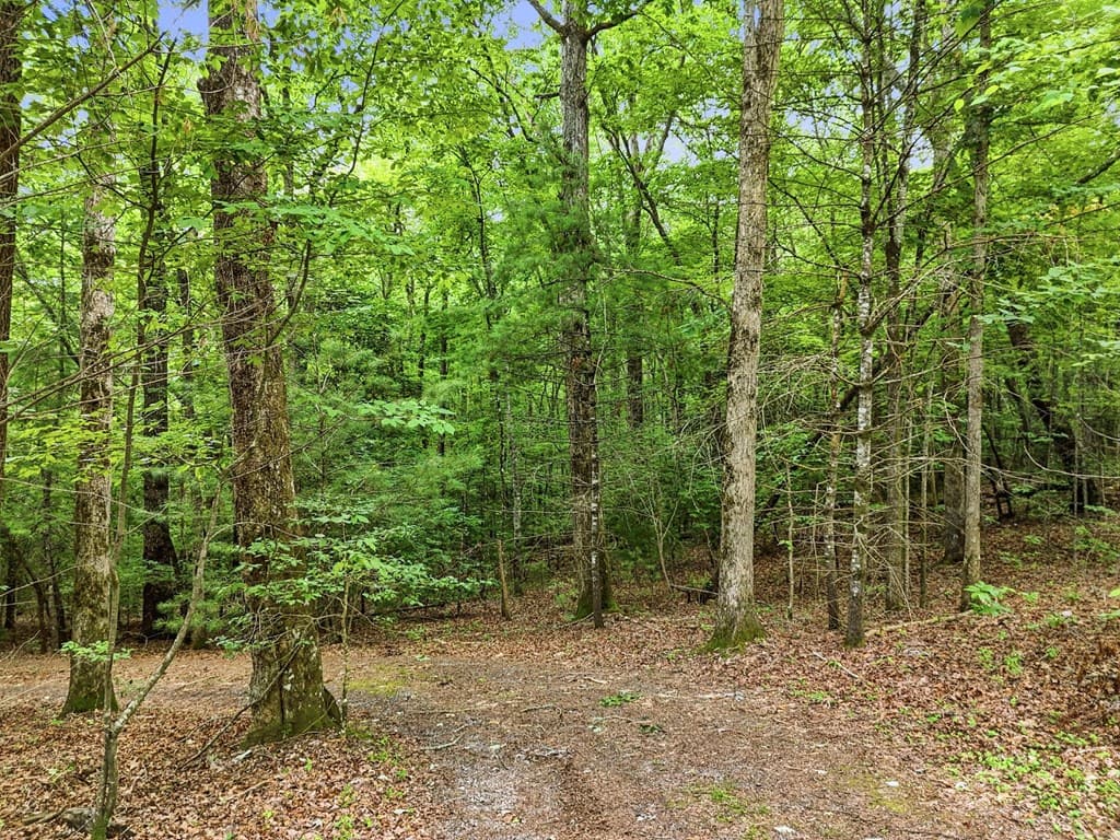 167 Mangums Trl, Blue Ridge GA 30513 - Photo