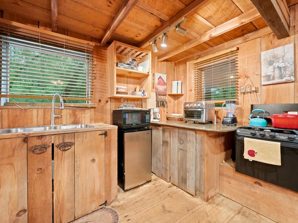 167 Mangums Trl, Blue Ridge GA 30513 - Photo