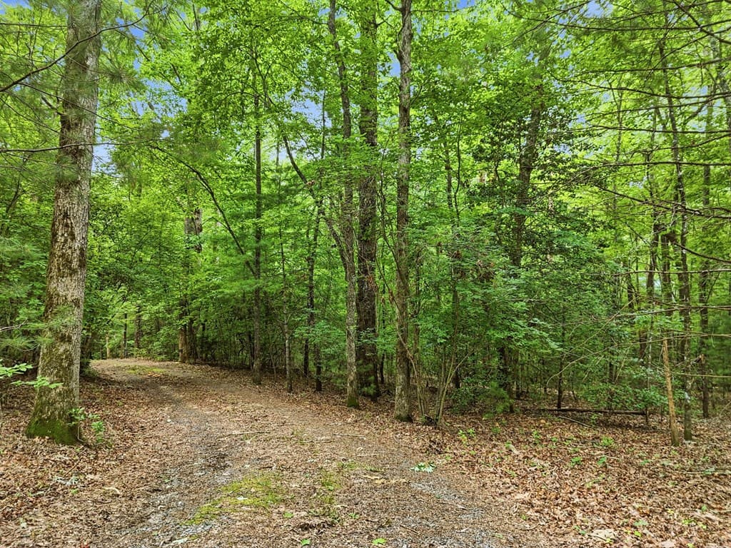 167 Mangums Trl, Blue Ridge GA 30513 - Photo