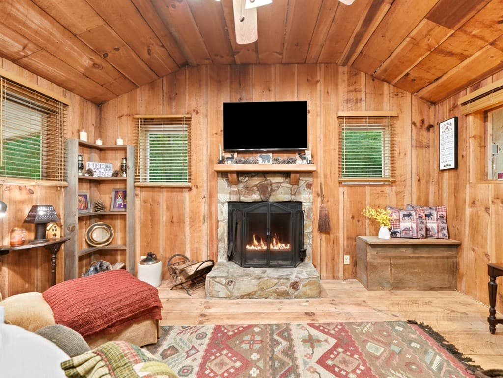 167 Mangums Trl, Blue Ridge GA 30513 - Photo