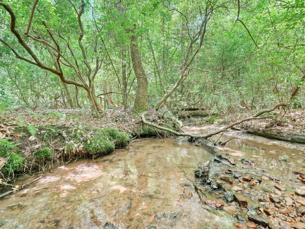 167 Mangums Trl, Blue Ridge GA 30513 - Photo