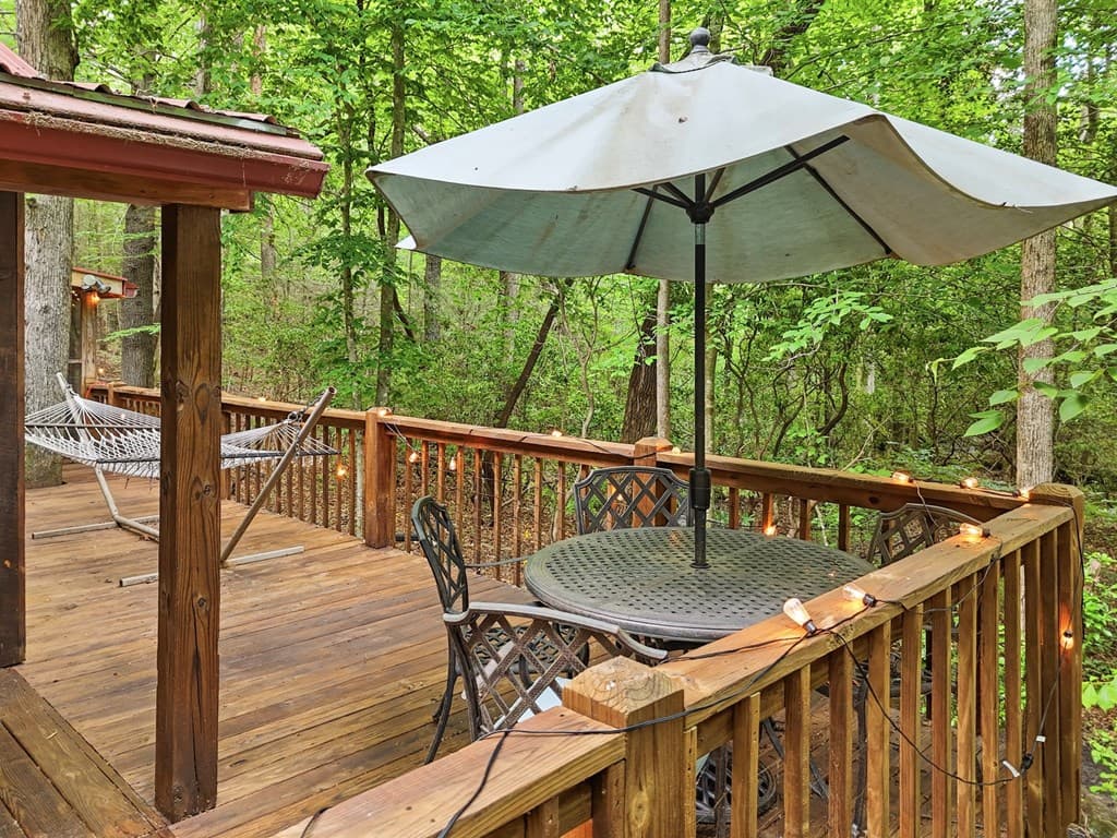 167 Mangums Trl, Blue Ridge GA 30513 - Photo