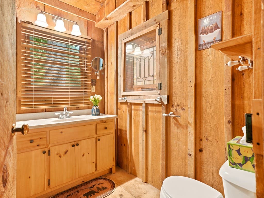 167 Mangums Trl, Blue Ridge GA 30513 - Photo