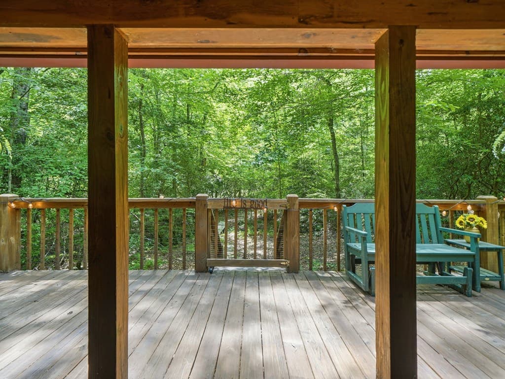 167 Mangums Trl, Blue Ridge GA 30513 - Photo