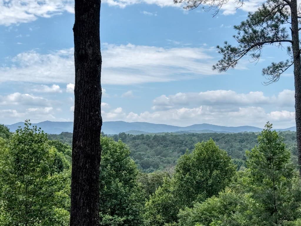 119 Bear Court, Ellijay GA 30540 - Photo