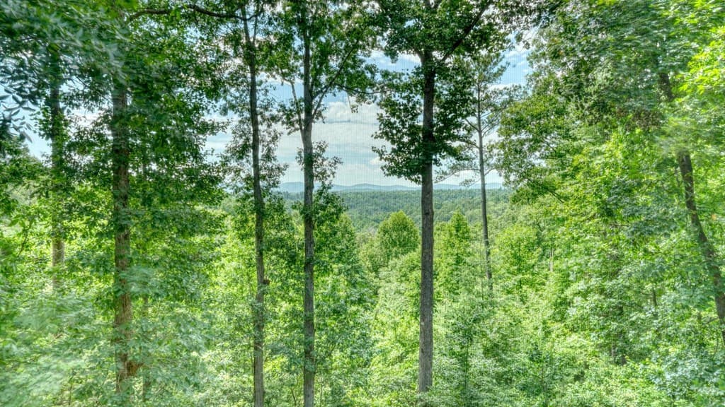 119 Bear Court, Ellijay GA 30540 - Photo