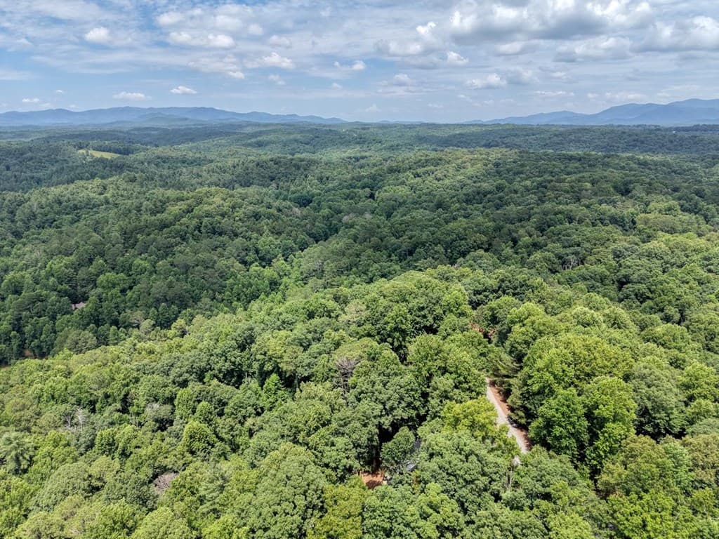 119 Bear Court, Ellijay GA 30540 - Photo