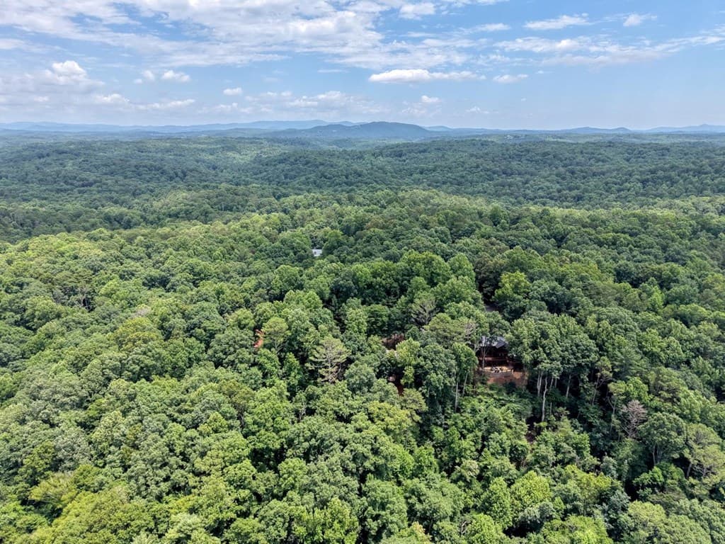 119 Bear Court, Ellijay GA 30540 - Photo