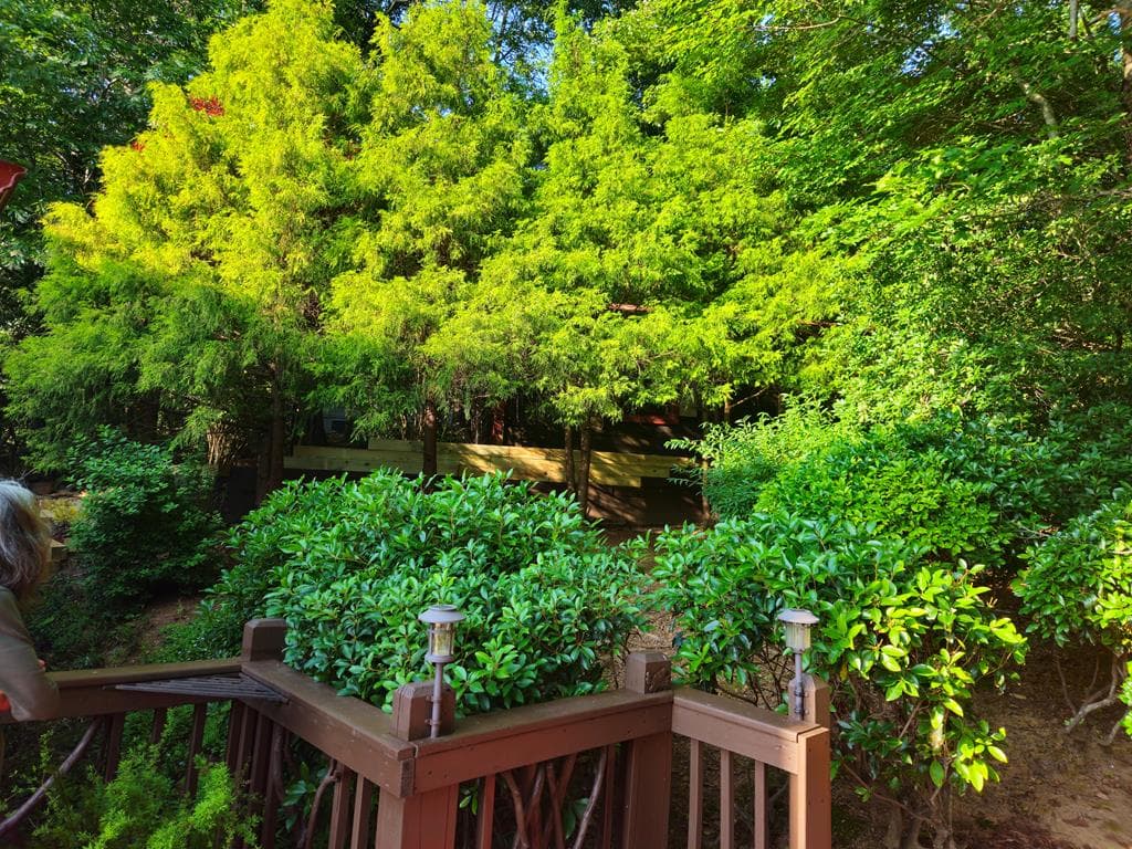 246 Adams Circle, Mineral Bluff GA 30559 - Photo