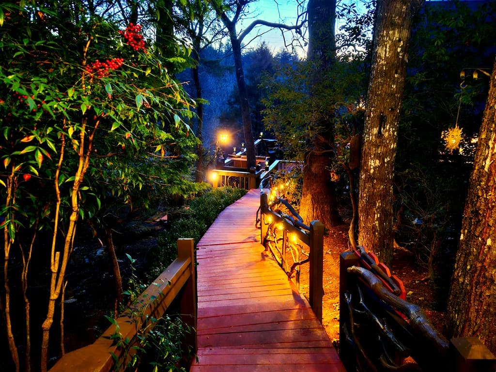 246 Adams Circle, Mineral Bluff GA 30559 - Photo