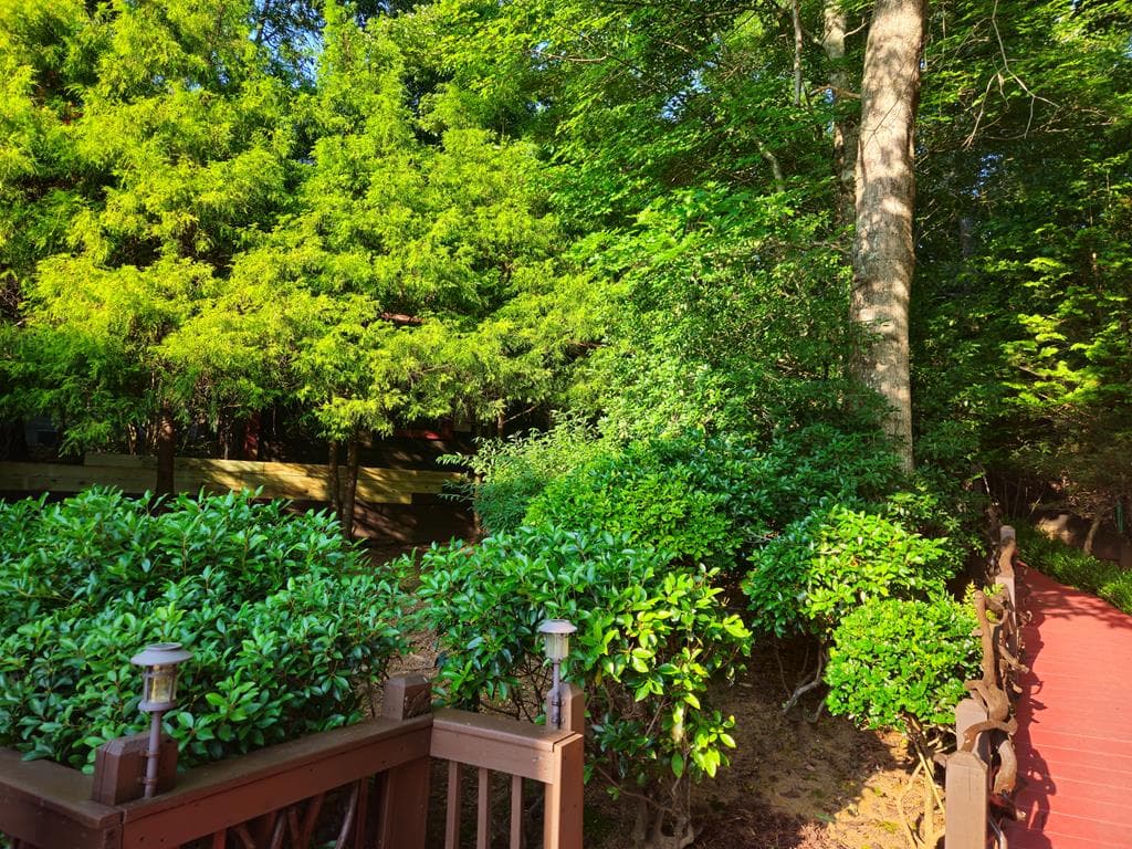 246 Adams Circle, Mineral Bluff GA 30559 - Photo