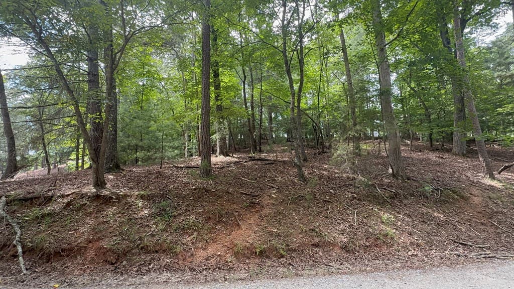 lot 679 Cypress Circle, Ellijay GA 30540 - Photo