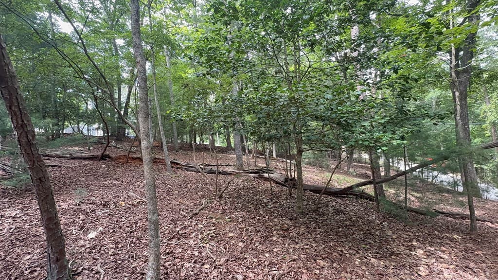 lot 679 Cypress Circle, Ellijay GA 30540 - Photo
