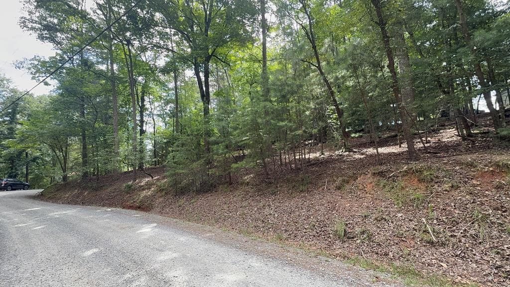 lot 679 Cypress Circle, Ellijay GA 30540 - Primary photo