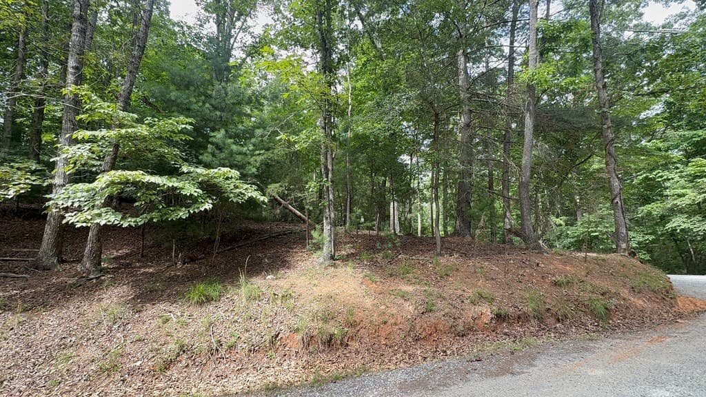 lot 679 Cypress Circle, Ellijay GA 30540 - Photo