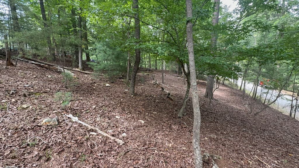 lot 679 Cypress Circle, Ellijay GA 30540 - Photo