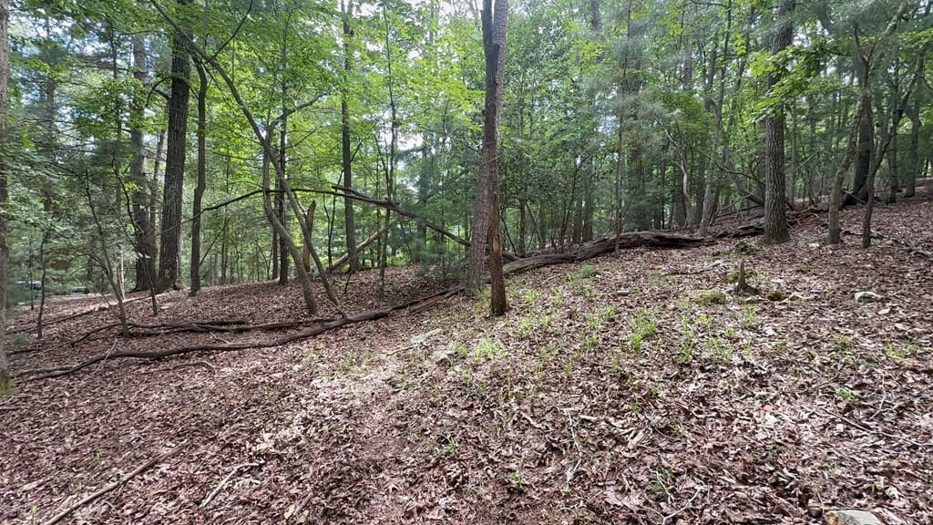 lot 679 Cypress Circle, Ellijay GA 30540 - Photo