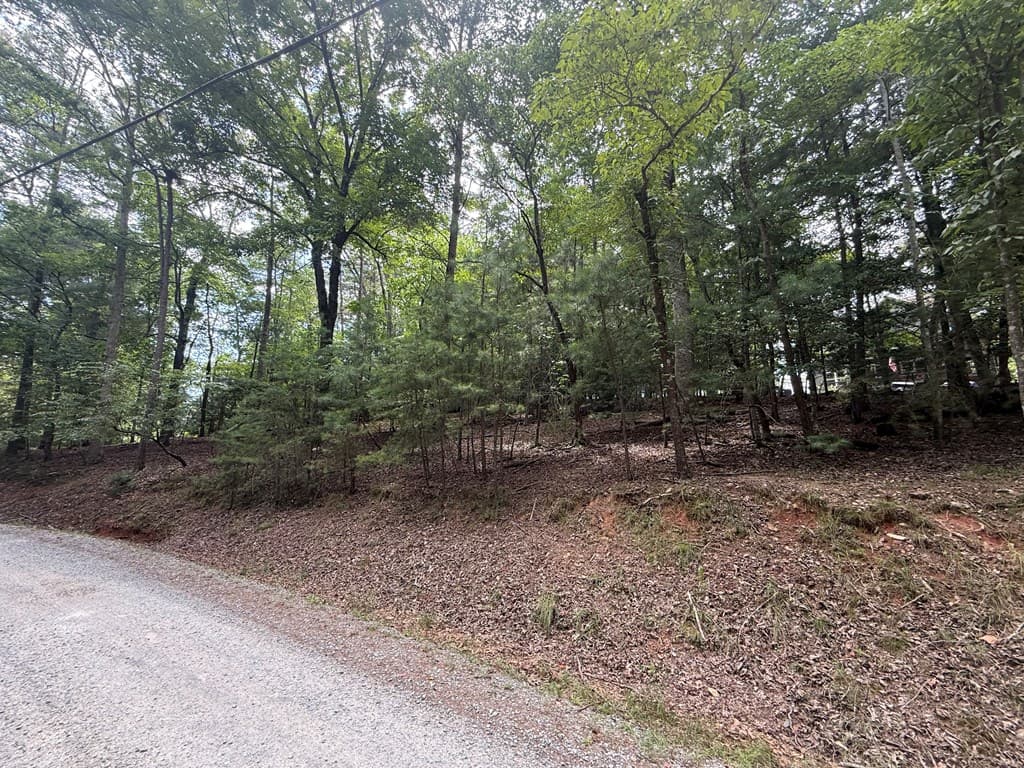 lot 679 Cypress Circle, Ellijay GA 30540 - Photo