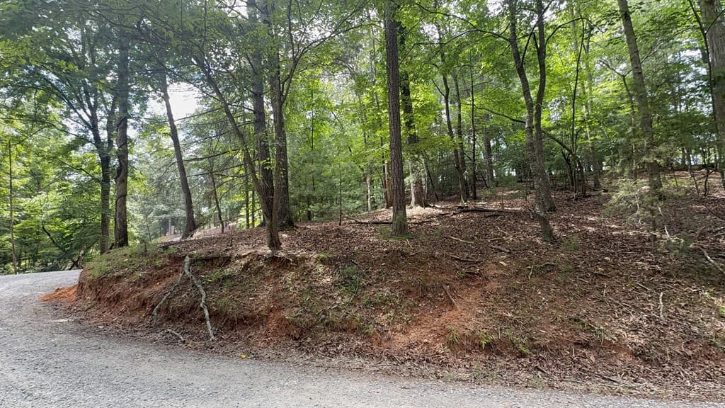 lot 679 Cypress Circle, Ellijay GA 30540 - Photo