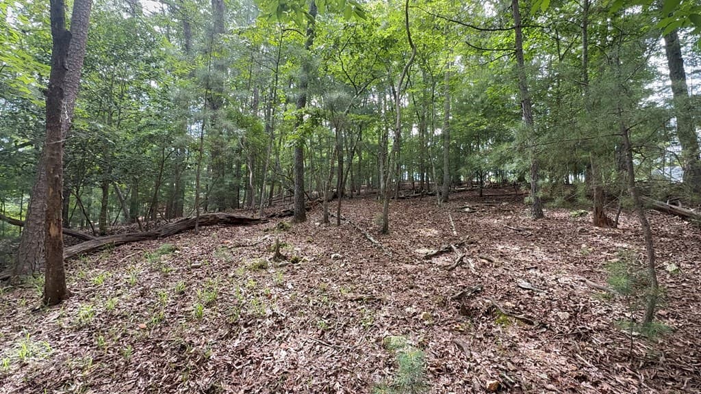 lot 679 Cypress Circle, Ellijay GA 30540 - Photo