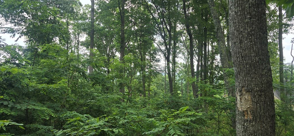 001 Winding Ridge, Blairsville GA 30512 - Photo