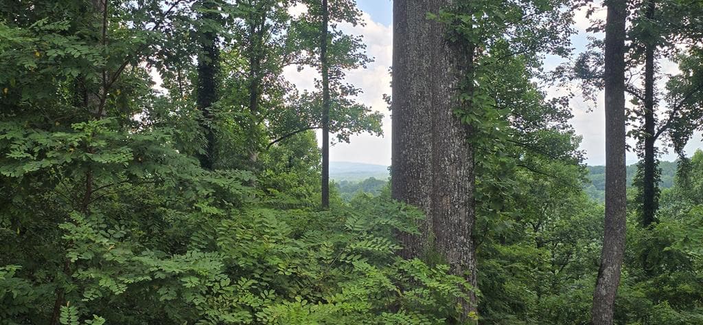 001 Winding Ridge, Blairsville GA 30512 - Primary photo
