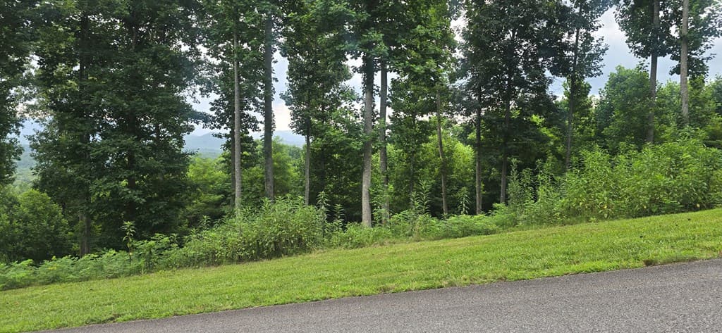 001 Winding Ridge, Blairsville GA 30512 - Photo