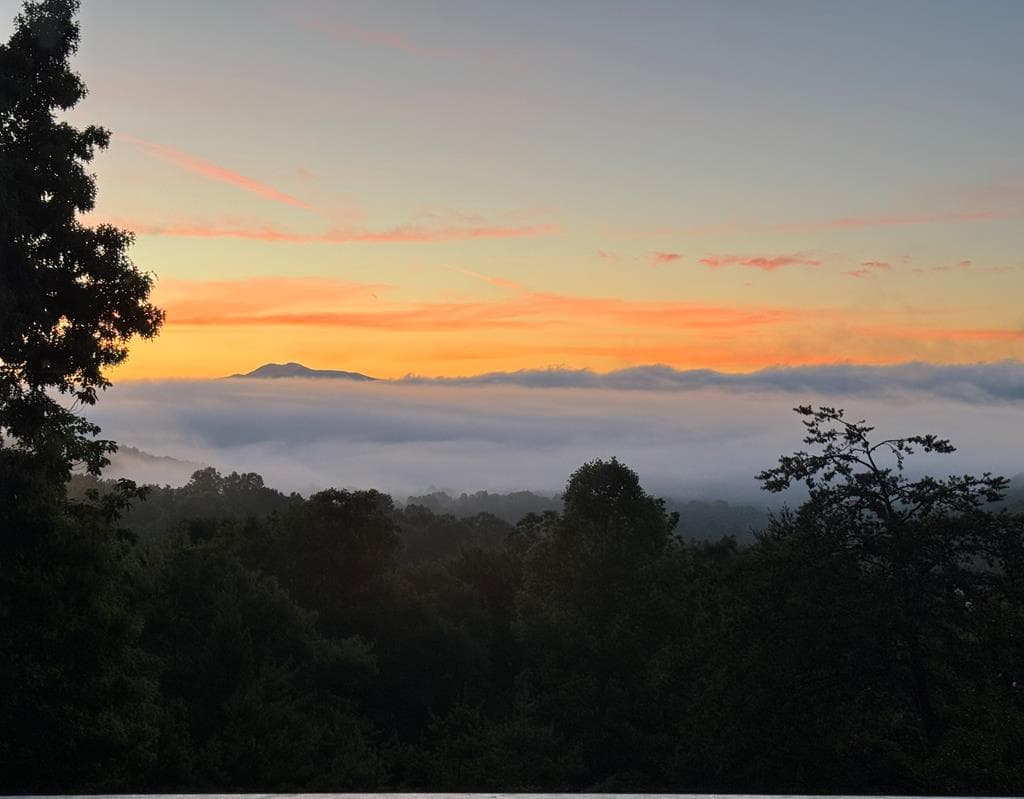 82 Jay Bird Way, Hayesville NC 28904 - Photo