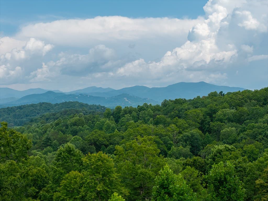 82 Jay Bird Way, Hayesville NC 28904 - Photo